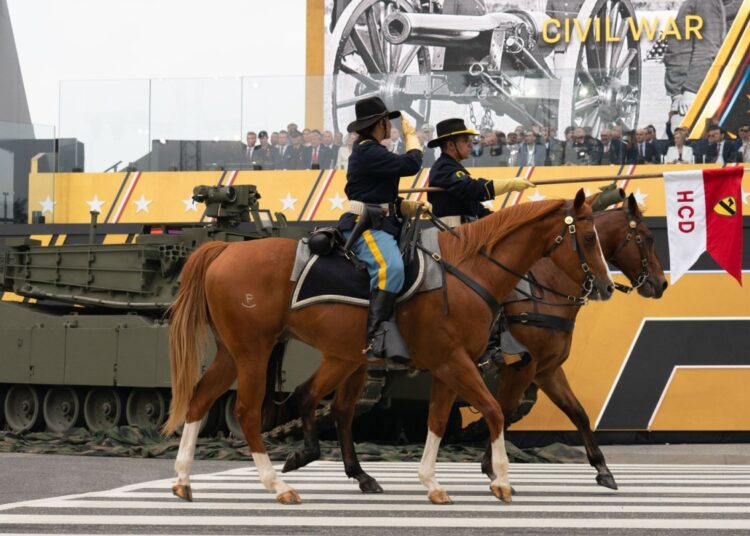 Army scales back horse and mule program to prioritize warfighting